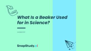 What Is a Beaker Used for in Science?