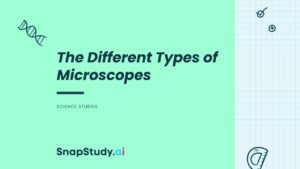 The Different Types of Microscopes